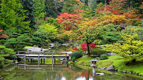Foot Bridge - Japanese Garden, Seattle
