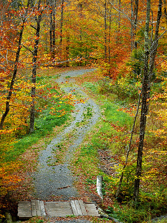 Country Road, Vermont