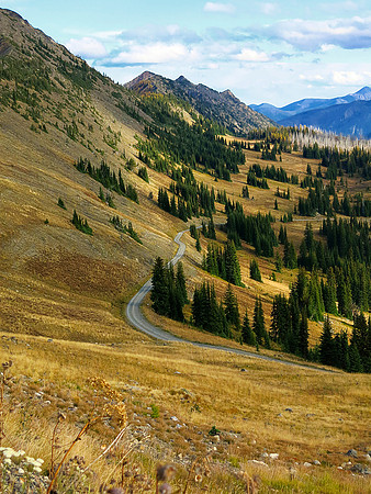Harts Pass Road