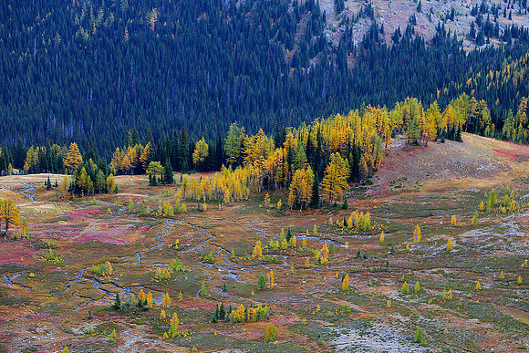 Autumn Hillside 3