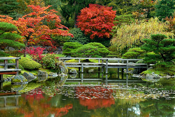 Japanese Garden,Seattle