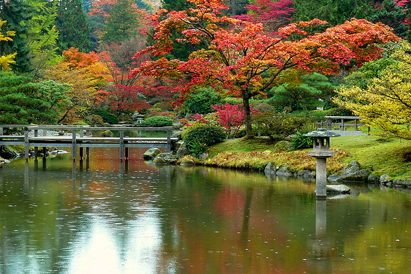 Japanese Garden, Seattle