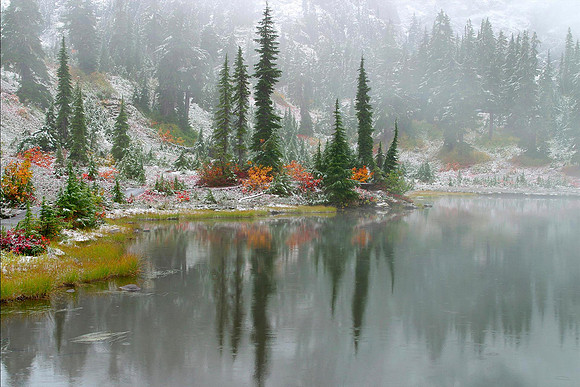 Autumn Mist