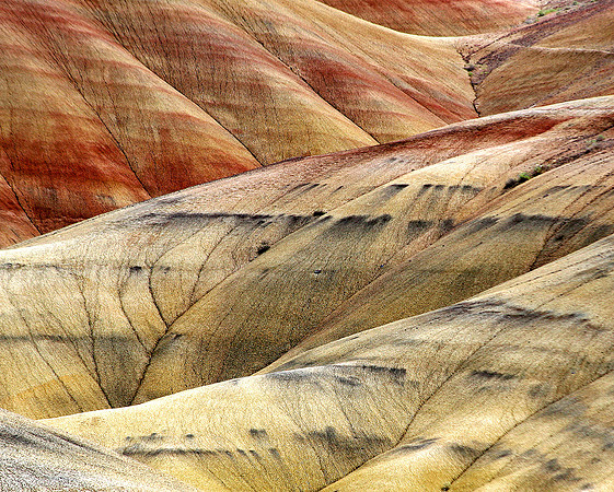 Painted Hills, OR (Details I)