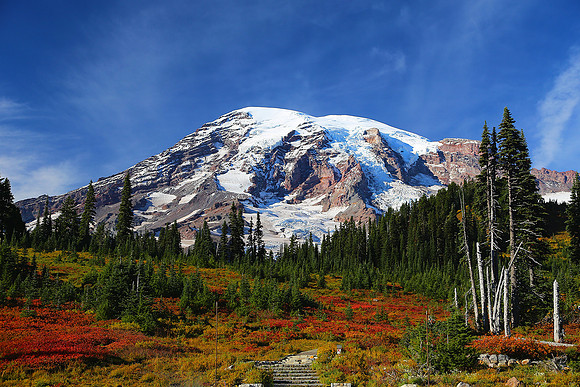 Mt. Rainier - Autumn at Paradise II