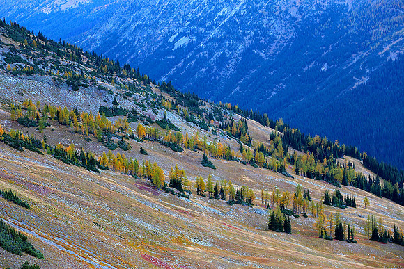 Autumn Hillside 1