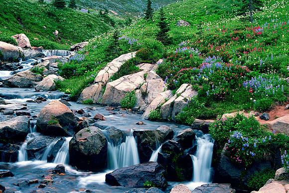 Edith Creek