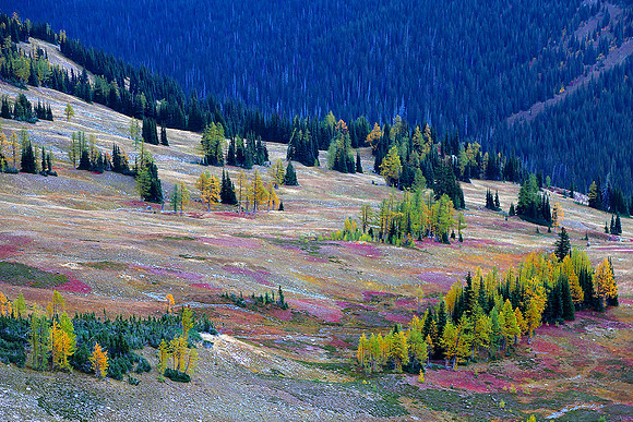 Autumn Hillside 2