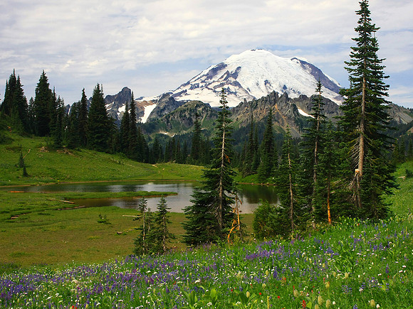 Mt. Rainier from Upper Tipsoo Lake