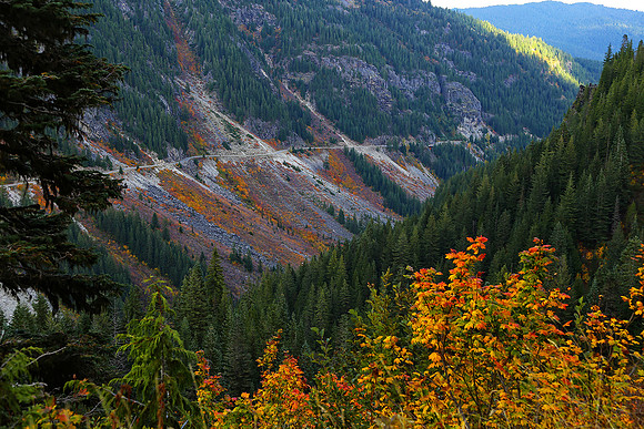 Stevens Canyon Road, Mt. Rainier National Park