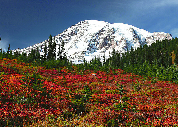 Mt. Rainier- Autumn at Paradise